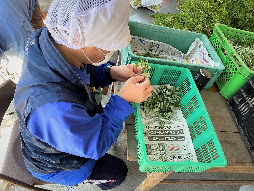 華陽会